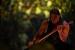 Metallica: Through the Never - Rezension der Blu-ray. (5)