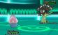 Jetzt können wir's ja zeigen: Neben Xerneas und Yveltal existiert außerdem das legendäre Zygarde, das im Inneren der Omega-Höhle lauert. Pokémon Z, ick hör dir trapsen!