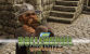 PC Games Spiele des Jahres: Bestes Rollenspiel 2013 - Die Auswertung.