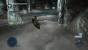 Assassin's Creed Liberation HD - Komplettlösung: Sequenz 6 - Erinnerung 1
