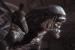 Alien: Isolation wird noch heute von vielen Fans gefeiert und der zweite Teil dementsprechend sehr erwartet.