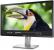 Dell Professional P2815Q