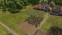 Banished: Für die Landwirtschaft gibt es eine Vielzahl unterschiedlicher Fruchtsorten. Hier zum Beispiel bauen wir Paprika und Squash-Kürbis an.