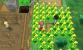 Pokémon Y und Y: Route 8 (1)