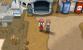Pokémon Y und Y: Petrophia (2)