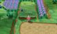 Pokemon X und Y: Komplettlösung mit Tipps zu Items und Fundorten aller Pokémon - Update (23)
