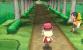 Pokemon X und Y: Komplettlösung mit Tipps zu Items und Fundorten aller Pokémon - Update (25)