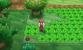 Pokemon X und Y: Komplettlösung mit Tipps zu Items und Fundorten aller Pokémon - Update (31)