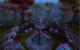 Die Anti-Exploit-Mechanik in World of Warcraft wird mit sofortiger Wirkung deaktiviert. (8)