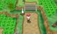 Pokémon X und Y: Route 11 (1)