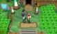 Pokémon X und Y: Route 11 (2)