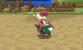 Pokémon X und Y: Route 12 (2)