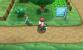 Pokémon X und Y: Route 12 (7)