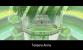 Pokémon X und Y: Tempera City - Arena (1)