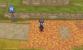 Pokémon X und Y: Route 15 (1)