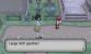 Pokémon X und Y: Frescora (4)