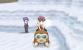 Pokémon X und Y: Route 17 (2)