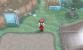 Pokémon X und Y: Route 17 (4)