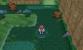 Pokémon X und Y - Route 19 (3)