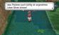 Pokémon X und Y - Route 19 (4)