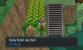 Pokémon X und Y - Route 19 (7)