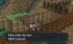 Pokémon X und Y - Route 19 (13)