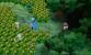 Pokémon X und Y - Pokémon Dorf (1)