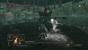 Dark Souls 2 im Test. (6)