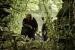 Game of Thrones: Die komplette dritte Staffel - Test der Blu-ray (4)