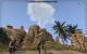 TESO: Tipps und Tricks zu Gameplay, Crafting, Mundussteinen, Items, Twinks und mehr. (23)