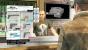 Watch Dogs: Komplettlösung - Waffenshop
