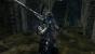 In <strong>Dark Souls</strong> ist es schon fast eine Wissenschaft, die Rüstungsteile so zu kombinieren, dass sie optisch am besten wirken. Wir möchten an dieser Stelle besonders <strong>Artorias Rüstung</strong> hervorheben. Aus praktischer Sicht ist sie zwar vergleichsweise unspektakulär, aber dafür glänzt sie mit ihrem Aussehen.
