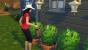 Die Sims 4 - Komplettlösung für Einsteiger - Tipps zur Simulation (2)