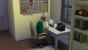 Die Sims 4 - Komplettlösung für Einsteiger - Tipps zur Simulation (1)