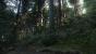 <strong>Kingdom Come: Deliverance</strong> - Was wir bislang in Bild- und Videomaterial sehen durften, lässt darauf schließen, dass wir in dem Mittelalter-Rollenspiel durch die bislang beeindruckendsten Wälder der Videospiel-Geschichte spazieren dürfen.
