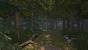 Die lauschigen Wälder sorgen für ungewohnte Anblicke in Grimrock 2.