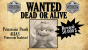 Wanted - Dead or Alive: In diesen Games machen wir uns auf die Suche nach vermissten Personen.