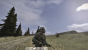Angefangen als Mod für Arma 2, befindet sich nun auch die Stand-alone-Version von Day Z als Alpha auf Steam. Noch ist das Spiel unfertig und nervt an vielen Stellen, aber die Verkaufszahlen explodieren.
