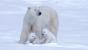Die Dokumentation gibt auch einen kleinen Einblick in die wunderschöne, aber gefährdete Natur von Alaska.