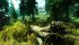 <strong>The Elder Scrolls: Skyrim</strong> - Vorzugsweise installieren wir eine Reihe Mods um den Bäumen und Gräsern zusätzliches Volumen zu verleihen, die Farben satter und die Stimmung sommerlicher wirken zu lassen. Aber auch so können sich die Wälder in Bethesdas Fantasy-Rollenspiel sehen lassen.