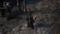 Diese Biester sind das Pendant zu den Echsen in Dark Souls.