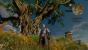 The Witcher 3 im Test für PS4.