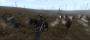 Bis wir hoch zu Ross Infanteristen vom Schlachtfeld jagen, vergeht viel Zeit (Mount & Blade: Warband - A Clash of Kings).