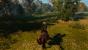 The Witcher 3: PC-Screenshots. (3)