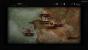 The Witcher 3 - Spielwelt