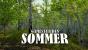Mit diesen Games kommt ihr durch den Sommer.