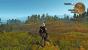 Sowohl die Geforce Experience als auch Raptr setzen für The Witcher 3 alle Optionen unnötigerweise auf die niedrigste Stufe oder schalten sie ganz ab, was in einem unschönen Gesamtbild mit einem extrem stark abfallenden Detailgrad und Frameraten von teilweise deutlich über 50 Fps resultiert. Hier wären mehr Bilder pro Sekunde drin.