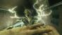 Zombi - Bilder und Screenshots aus dem Remake (2)