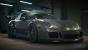 Kostenpflichtige DLCs und Mikrotransaktionen sind für NFS nicht geplant.
