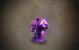 World of Warcraft: Das Leuchtpfötchen für die "Make A Wish"-Foundation (3)